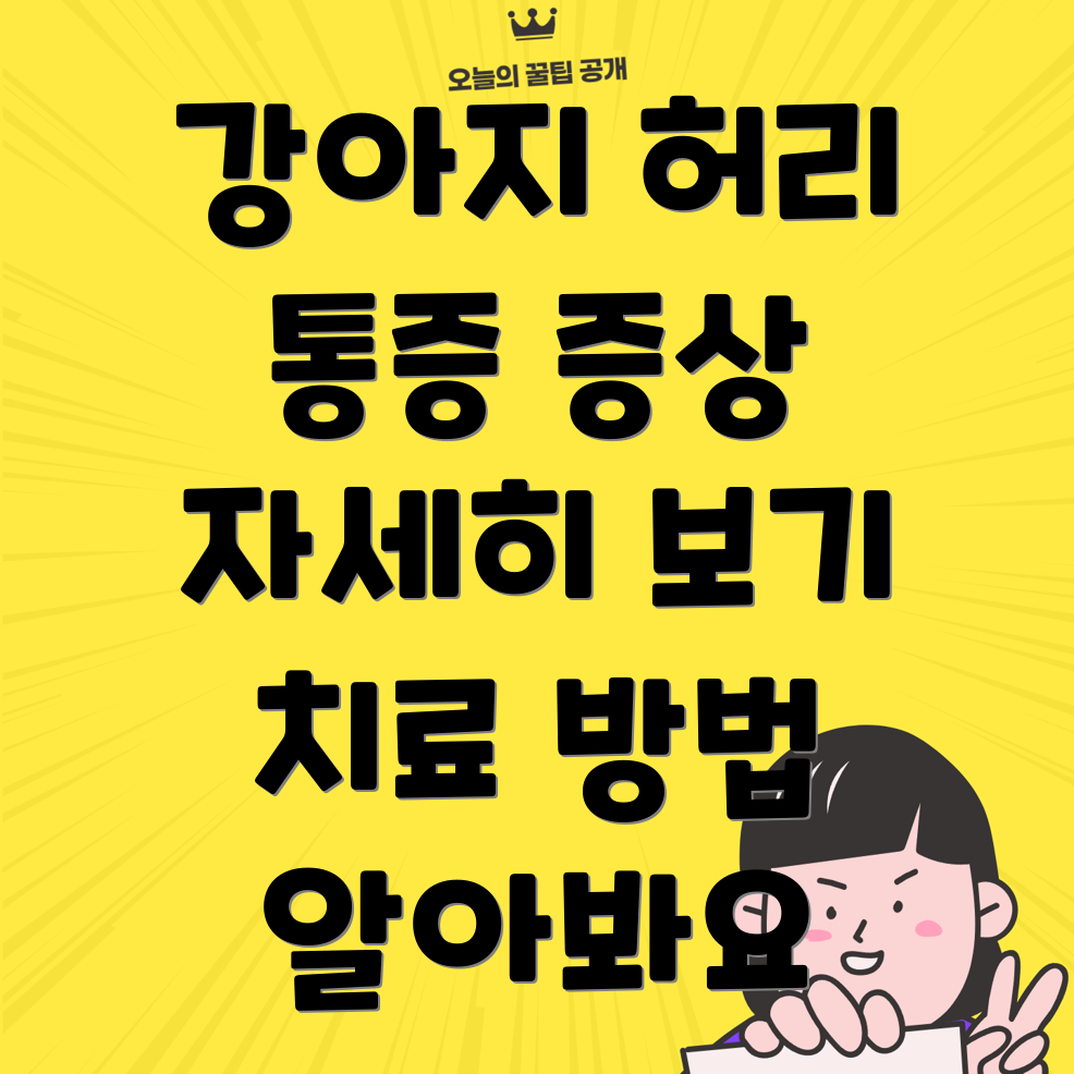 강아지 허리 디스크