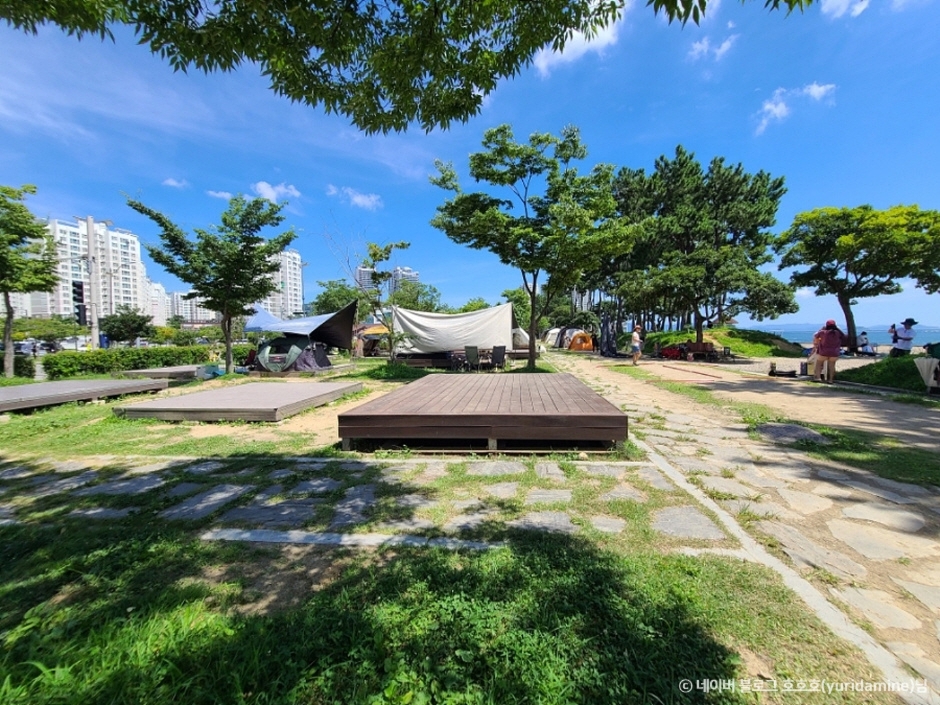웅천친수공원 캠핑장