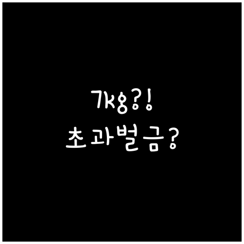 가루다인도네시아 기내 반입 수하물 7..