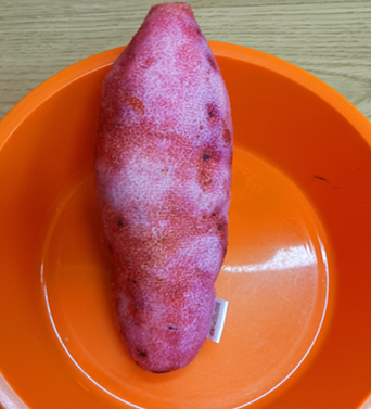 고구마는 언제부터 먹었을까? 오래전부터 사랑받아 온 고구마 이야기