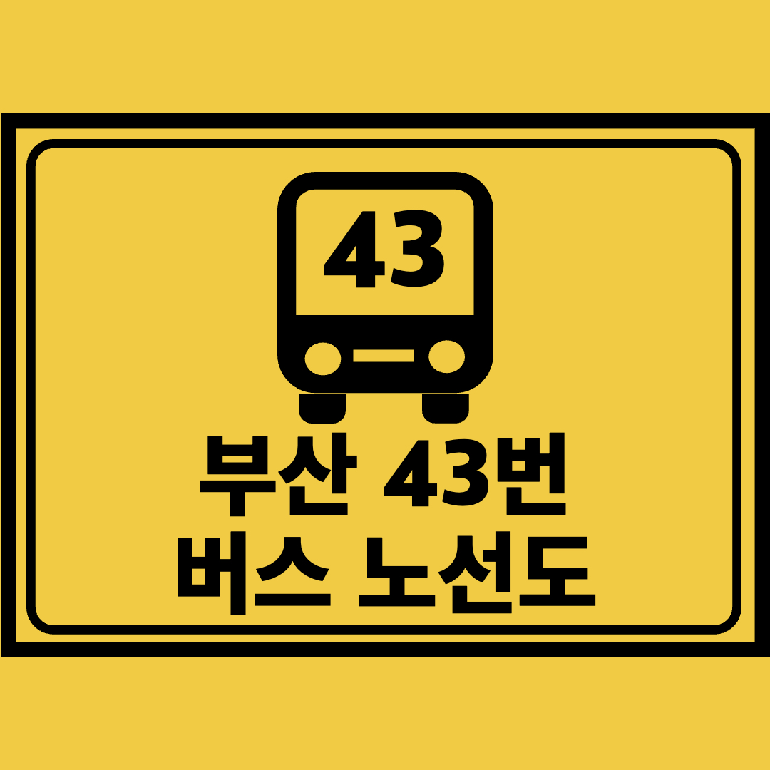 부산43번버스노선도