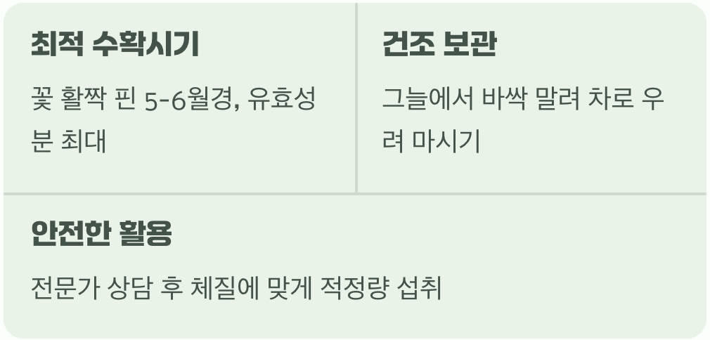언제, 어떻게 활용할까? (수확과 이용)