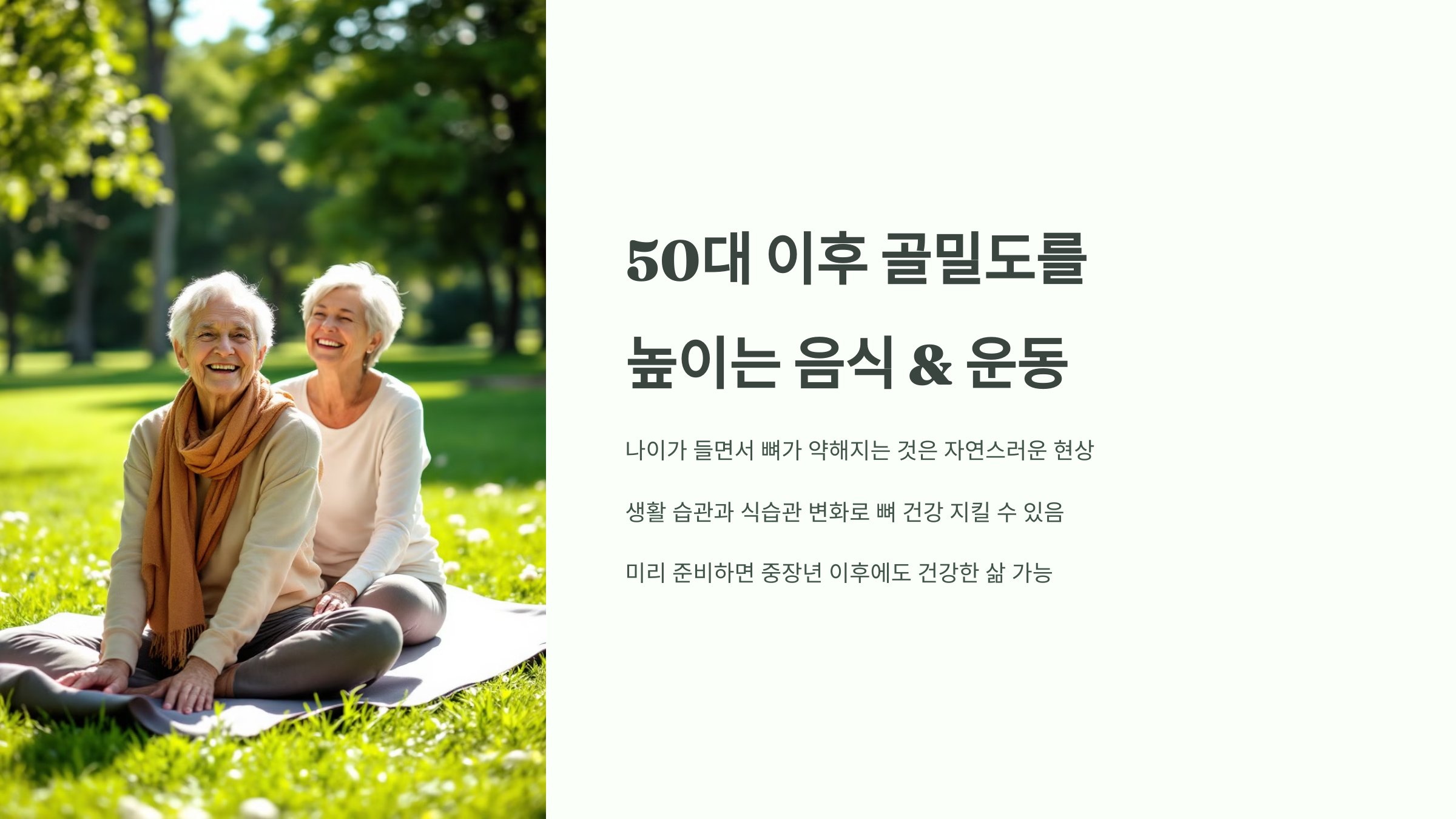 골밀도 관련 사진