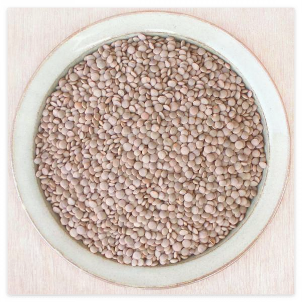 마그네슘이-풍부한-음식