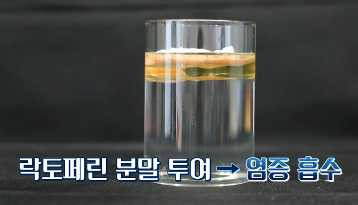 락토페린 효능