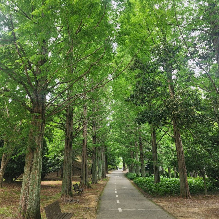 경상남도수목원