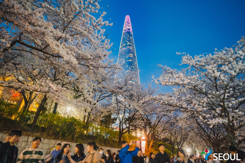 3월에 가볼 만한 국내 여행지 BEST 7 (봄꽃 명소 포함)