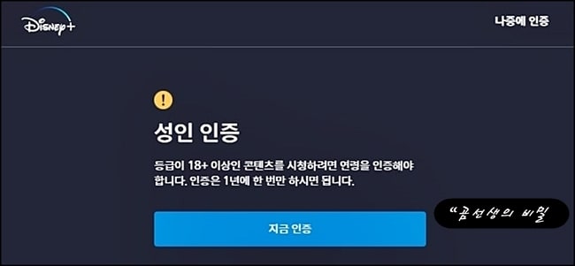 디즈니플러스-등급제한해제-성인인증-방법-10