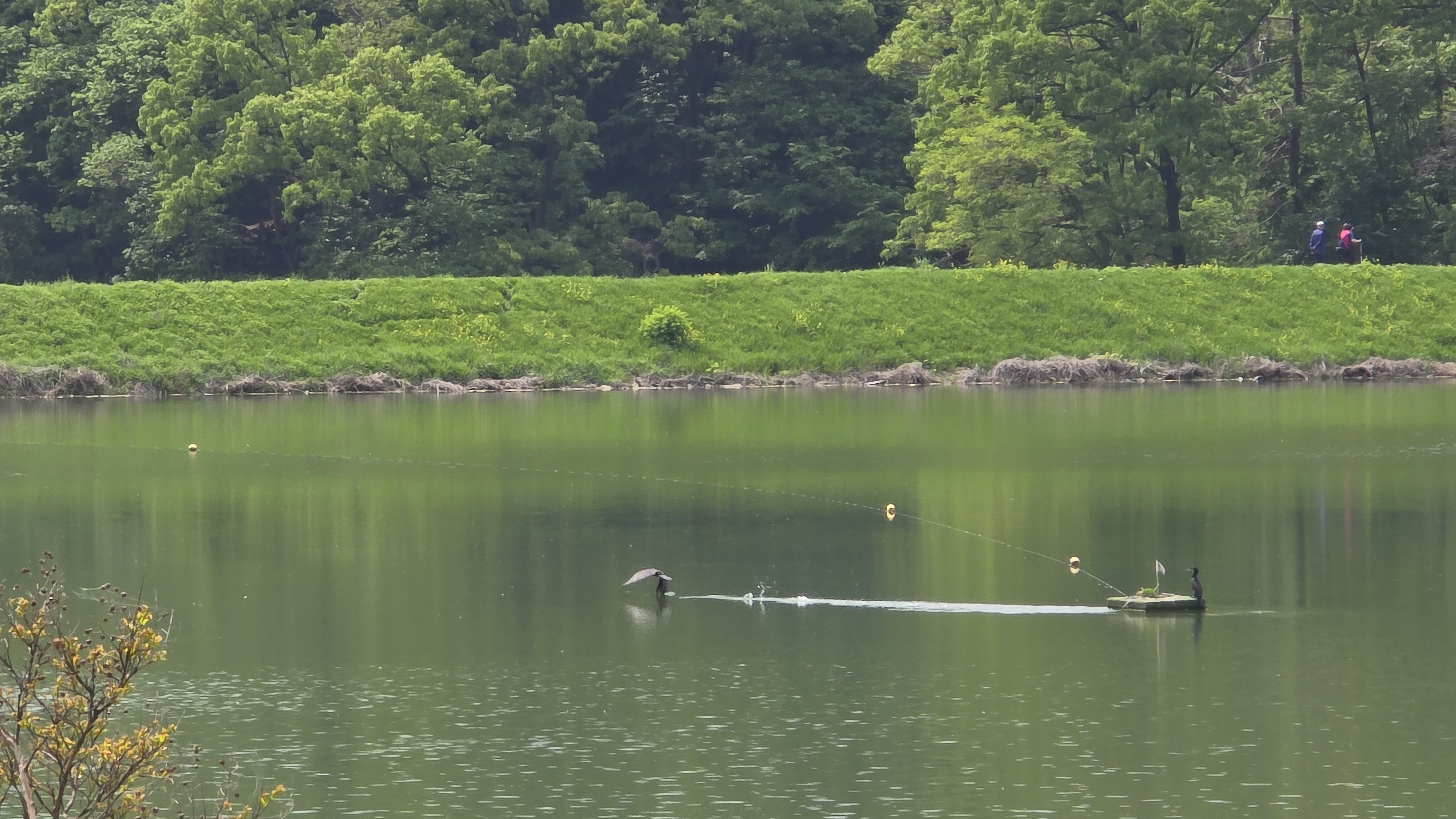 군포 주막보리밥