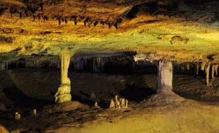 천곡황금박쥐동굴