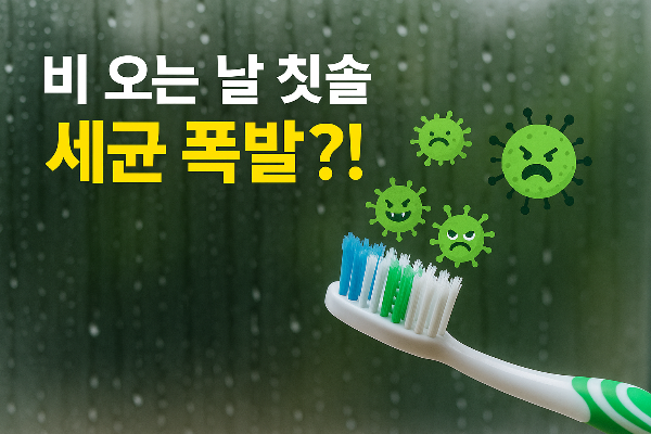 비 오는 날 칫솔 세균 폭발?! 전자레인지에 넣어야 하는 이유