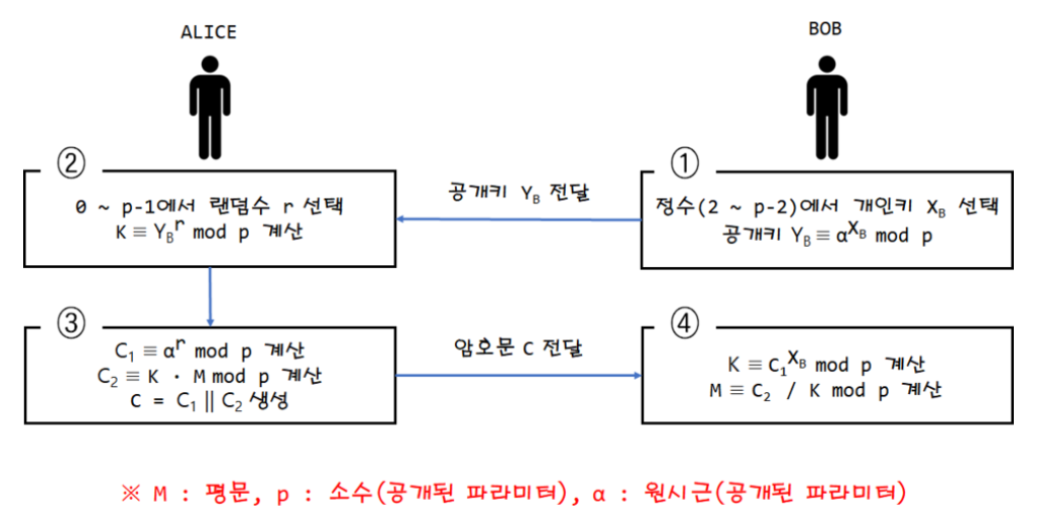 ElGamal 알고리즘을 사용한 암호화 과정