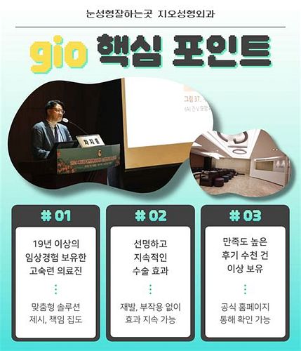 안검하수 비용