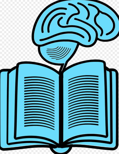 인지 관련 사진