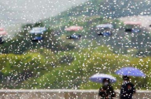 기상청 날씨누리 동네예보