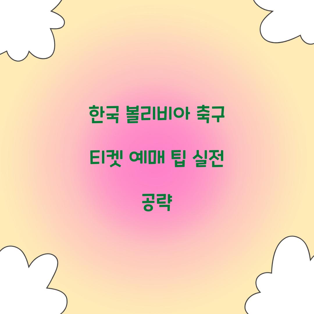 한국 볼리비아 축구 티켓