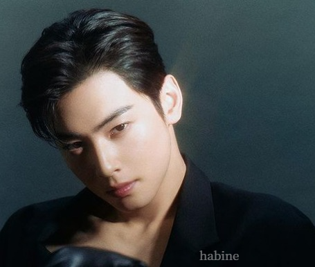 차은우 활동