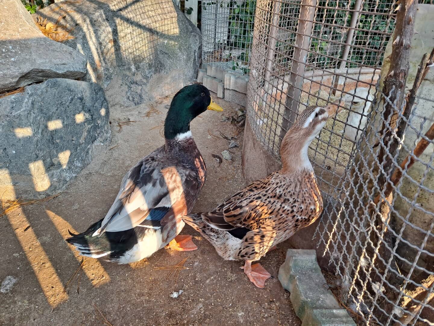 용인 가볼만한곳 곤충테마파크