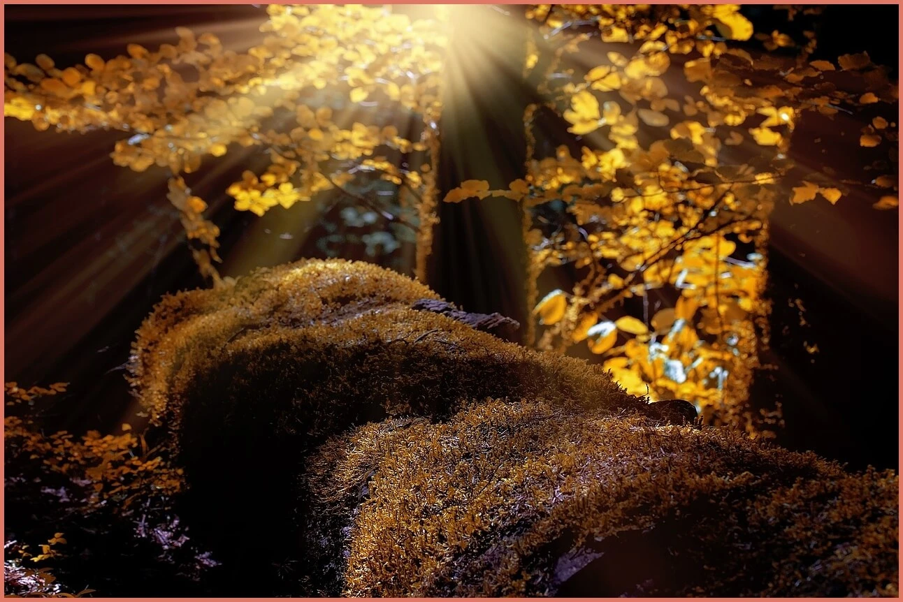 새마을금고 예금금리