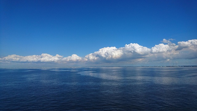 AUTOSAR Performance 측정 및 트러블슈팅