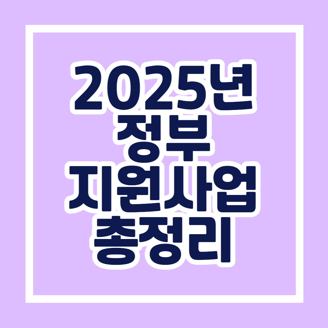 2025년 정부지원사업 총정리! 개인·기업을 위한 필수 지원제도