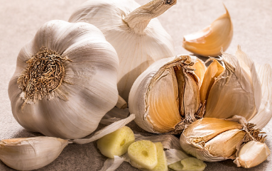 마늘 파종시기와 거름 주는 방법 알아볼까요 1