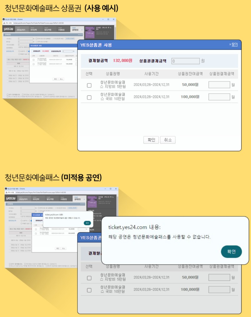 청년문화예술패스