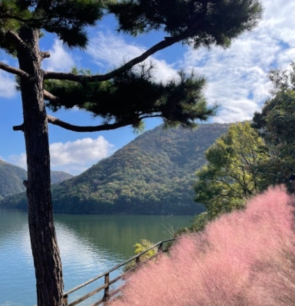 옥천/핫플레이스/대청호/천상의/정원/수생학습식물원