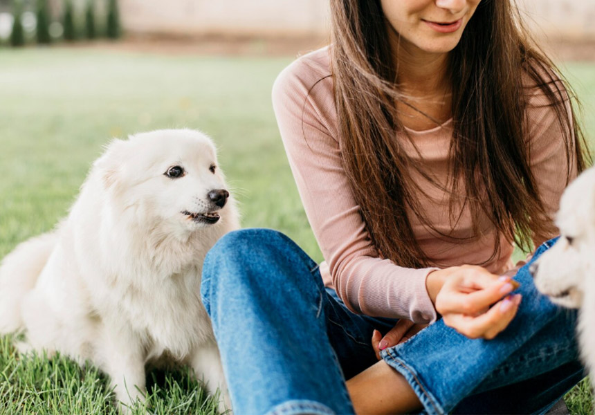 2025 반려동물 실비보험 추천 사이트 확인 후 행복한 모습