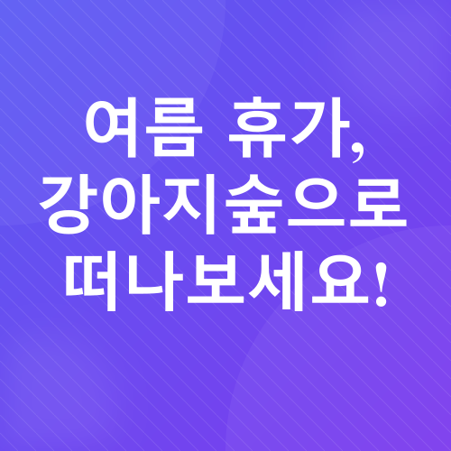 반려견 테마파크_3