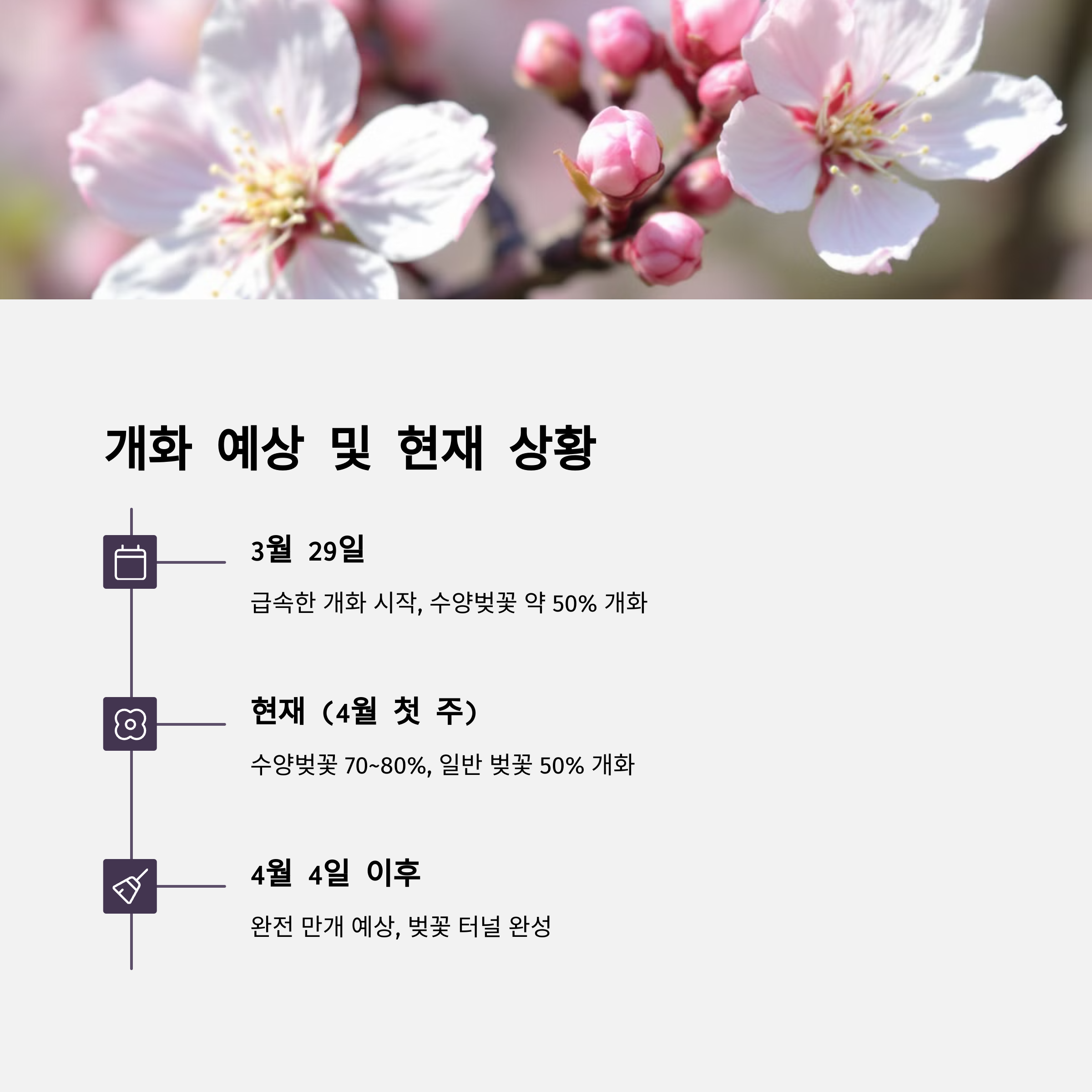 창녕 수양벚꽃 명소 추천