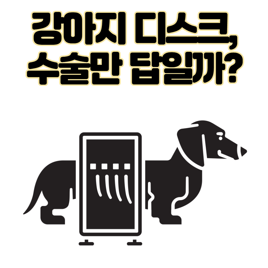 강아지 디스크, 수술만 답일까? 초기 증상&middot;관리&middot;예방법 총정리