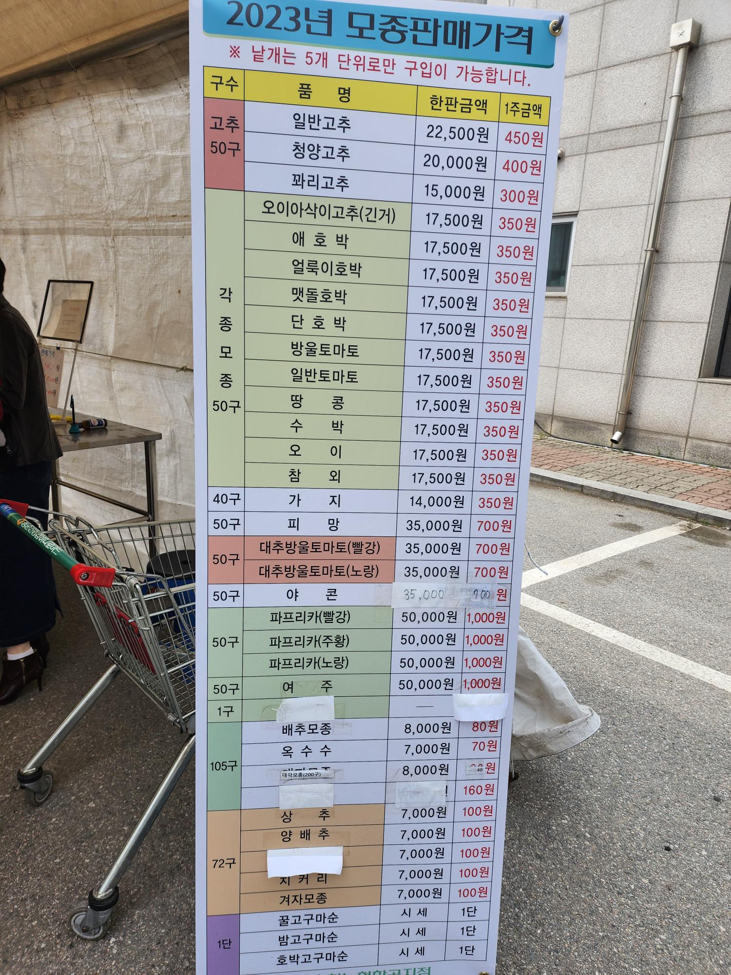 23년 모종판매 가격