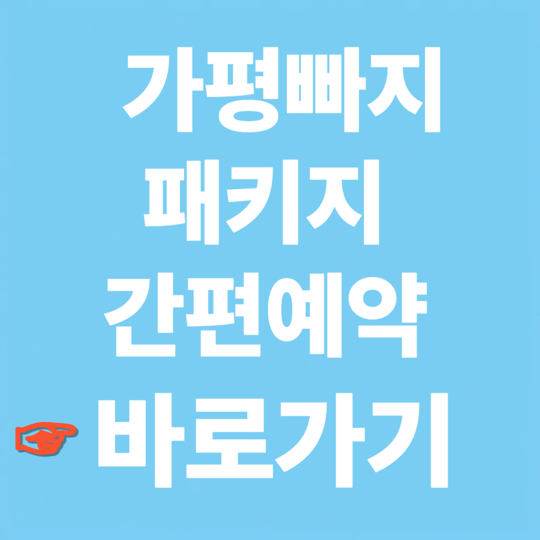 가평빠지패캐지 간편예약 사이트 바로가기