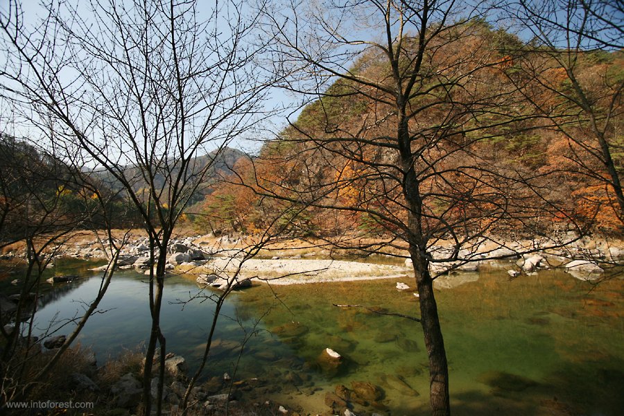 자연재해와 안전 사고가 경제적 가치에 미치는 영향 분석