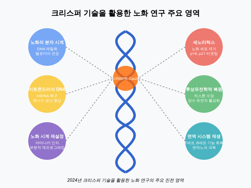 크리스퍼 기술을 활용한 노화연구 주요 영역
