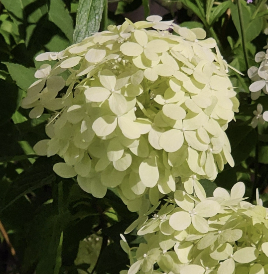 Alt 속성 문제 해결 설명 이미지