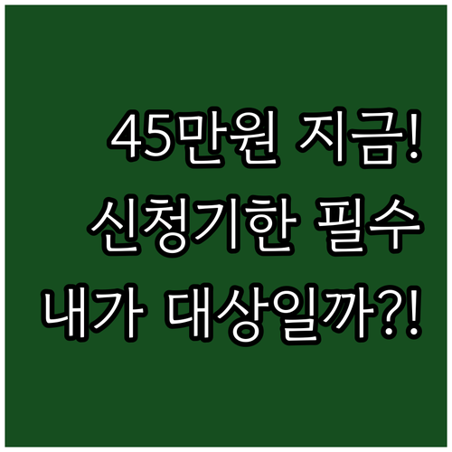 2025년 민생회복 소비쿠폰 최대 4..