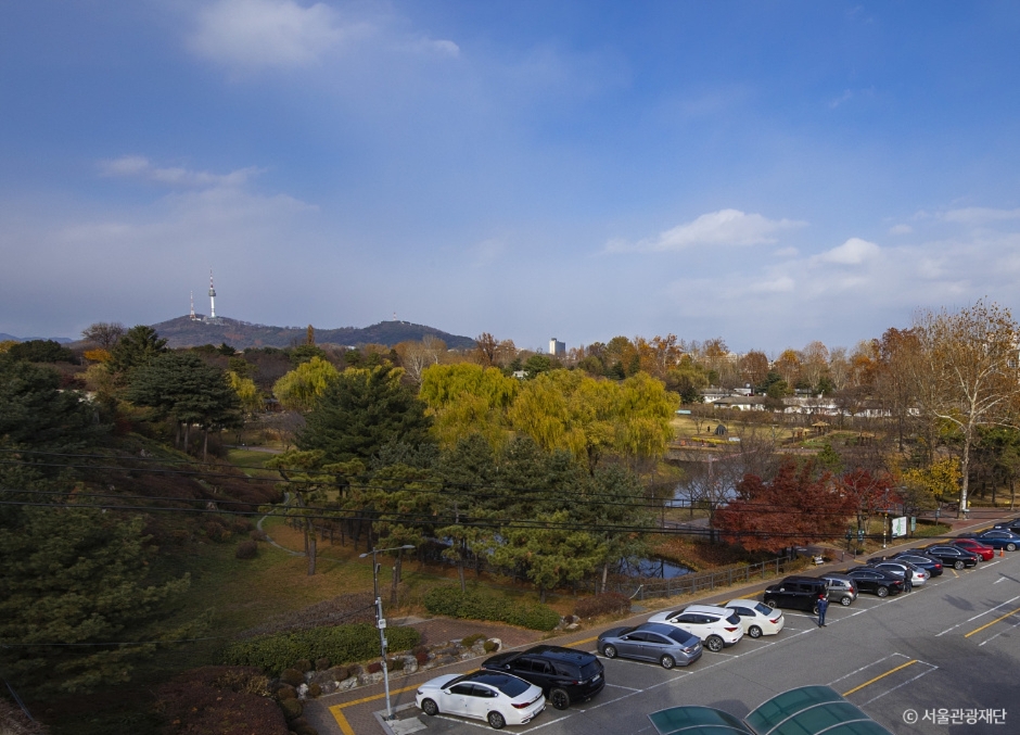 2024 가을 여행지 단풍 명소 추천