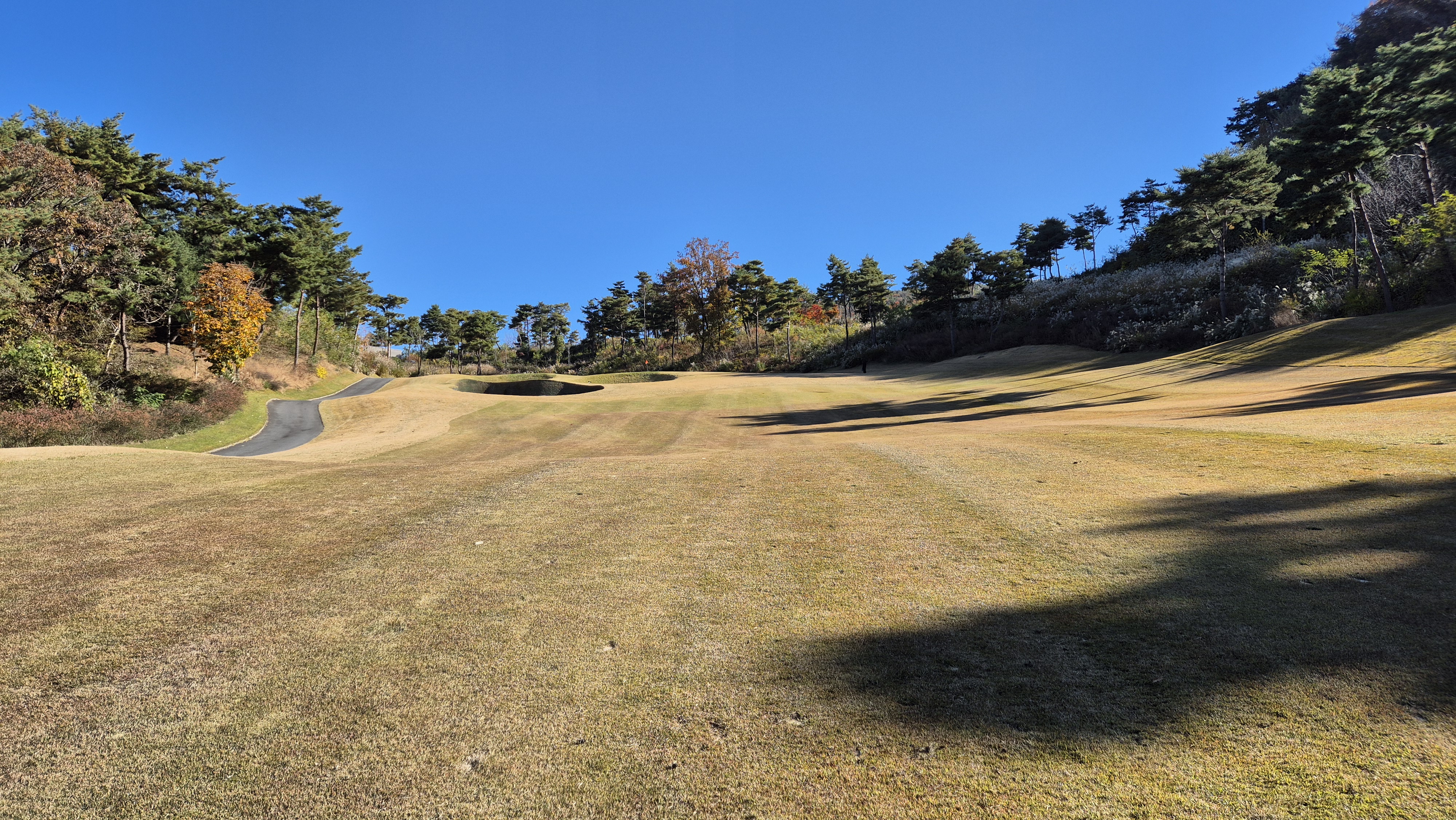 레이캐슬cc 레이 코스 사진 및 공략 정보