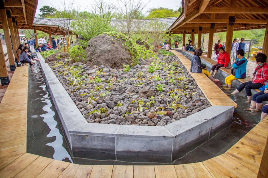 제주도 에코랜드 테마파크 라벤더역 3