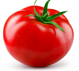 토마토