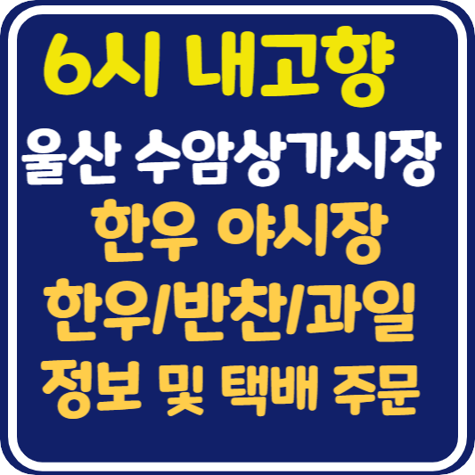 6시 내고향 울산 수암상가시장, 한우 야시장, 한우 가게, 반찬 가게, 과일 가게 정보 및 택배 주문 방법