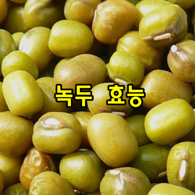 녹두 효능