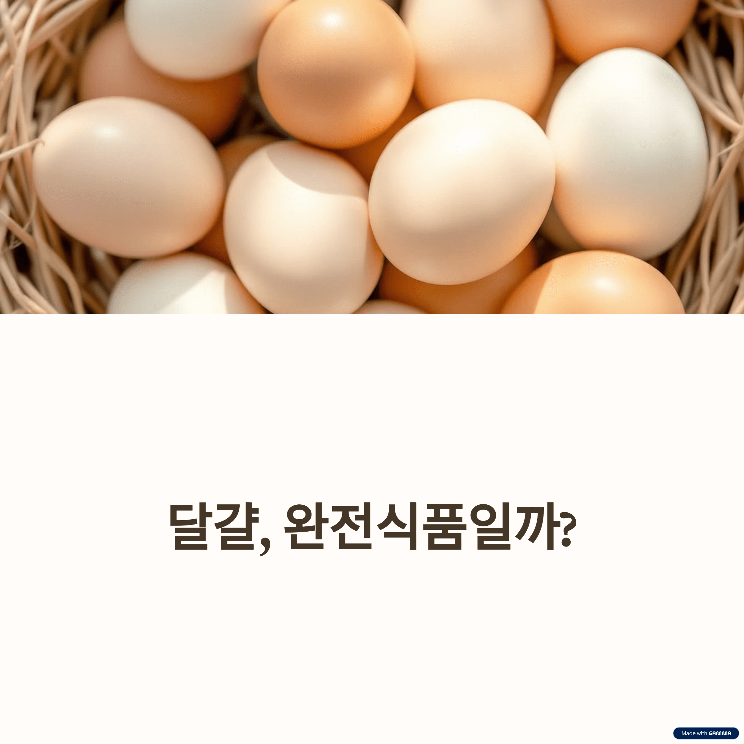 완전식품 '달걀', 제대로 알고 먹으면 약! 잘못 먹으면 독?