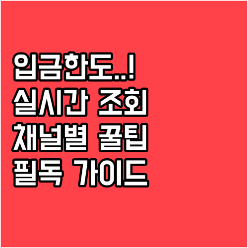 생계비계좌 입금 한도와 실시간 잔액 ..