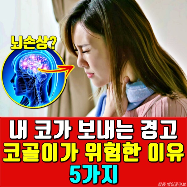 코골이 줄이는방법,코골이방지베개,수면무호흡증 증세,건강 팁줌