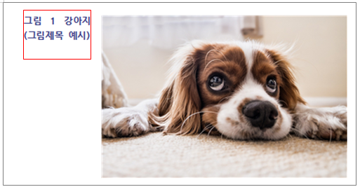 한글 캡션 설정 표번호 그림번호