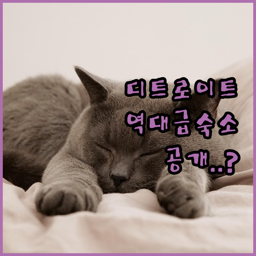 디트로이트 숙소 추천 Relax St..