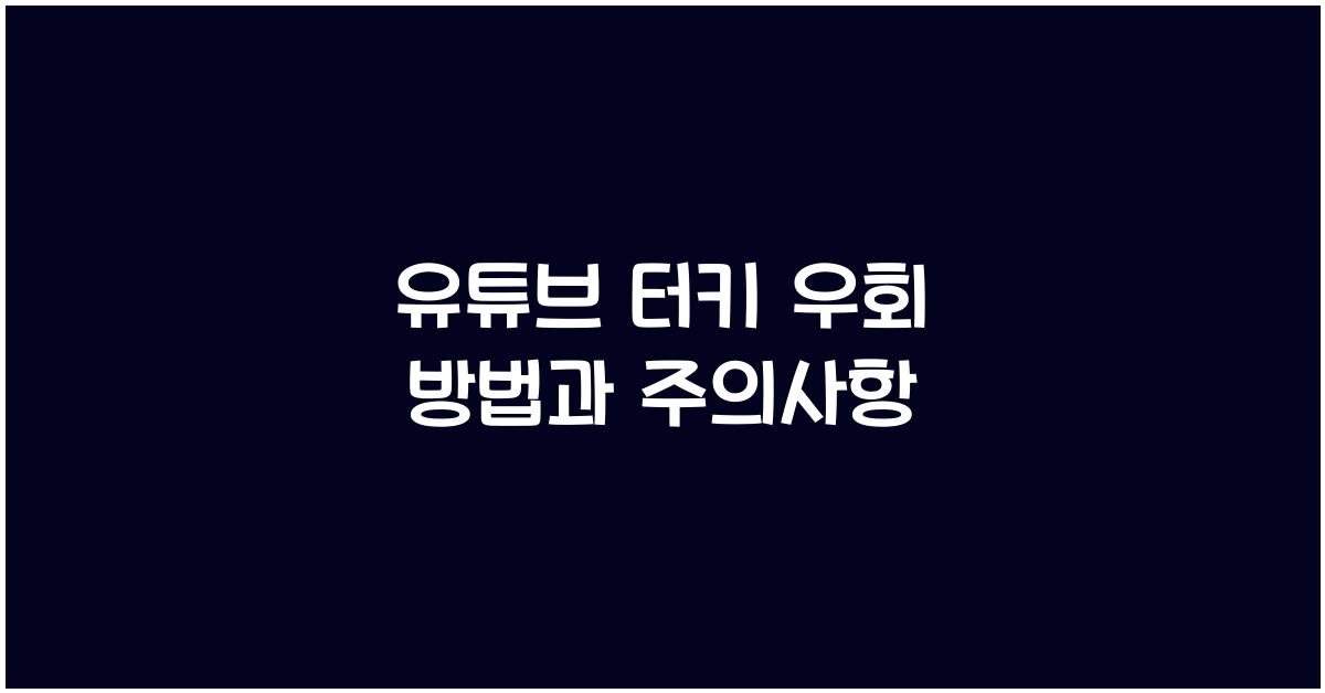 유튜브 터키 우회
